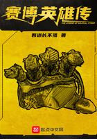赛博英雄传txt精校版
