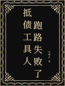 抵债啥意思
