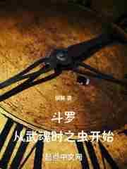 从斗罗武魂殿开始